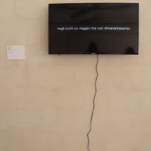 Liu Bolin